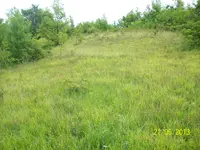 100_1667.webp