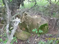 100_1687.webp