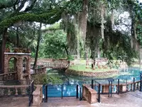 Radium Springs 009a.webp