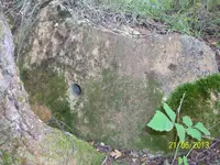 100_1691.webp