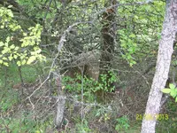 100_1692.webp