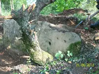 100_1695.webp