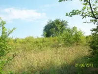 100_1705.webp