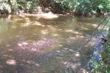 100_3596.webp