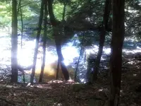 0707131250-00.webp