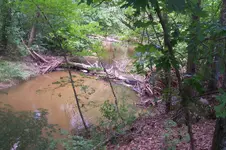 100_3598.webp