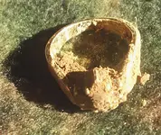 ring 1 dirty 1024x.webp