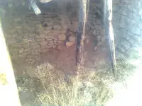 ????1897.webp