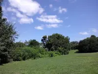 a1.webp