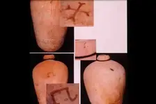 tortugasolivejar.webp