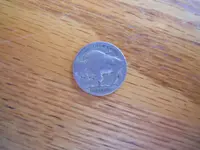 DSCN2497.webp