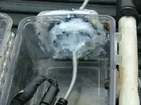 water proof compadre 001 (640x480).webp