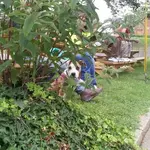 20130807_110014-1.webp 20130807_110014-1.webp