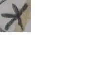 x symbol.webp