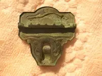 Buffalo back.webp