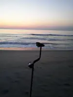 beach2.webp