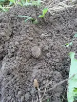 20130728_111319.webp