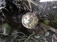 20130814_140823.webp