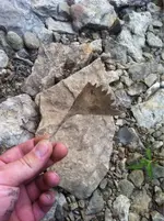 image-20655845.webp