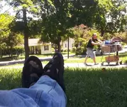 20130729_134147-1.webp 20130729_134147-1.webp