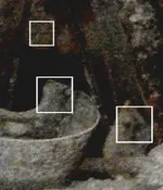 vaultLG_1crossmarkersml.webp
