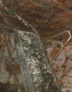 holeLG_1fabric2handle.webp