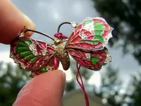 butterfly 1.webp