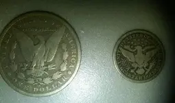 Back new dollar.webp