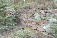 DSCF5377.webp