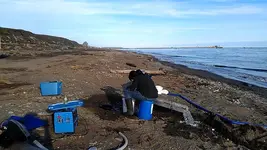 Beach in Nome 2013.webp