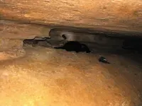 CavePic#2 063013.webp