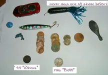 DSCF2496.webp