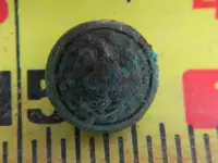 DSCN5033.webp