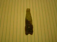 monkey 001.webp