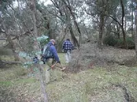 100_2803.webp