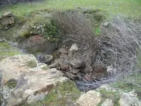 100_2804.webp