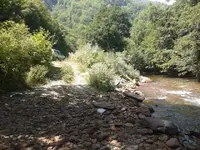 2013-08-08 12.59.26.webp 2013-08-08 12.59.26.webp