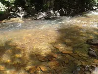 2013-08-08 12.59.34.webp 2013-08-08 12.59.34.webp