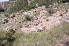 DSCF5389.webp