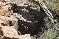 DSCF5392.webp