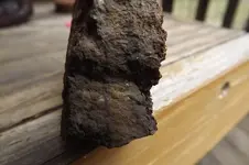 DSCF5448.webp