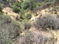 ravine.webp