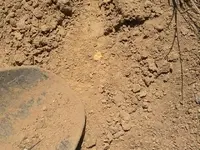 in-situ.webp
