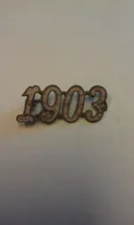 pin.webp