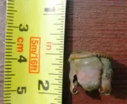 copperplug.jpg 004.webp