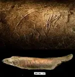 090610-oldest-art-mammoth-picture_big.webp