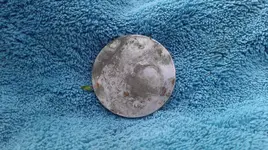 silver disk of some sort.webp