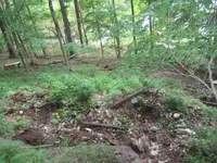 019.webp