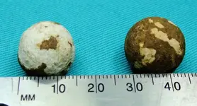 musket balls.webp