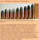 .44 Rimfire.webp